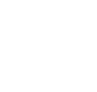 Logo Lions